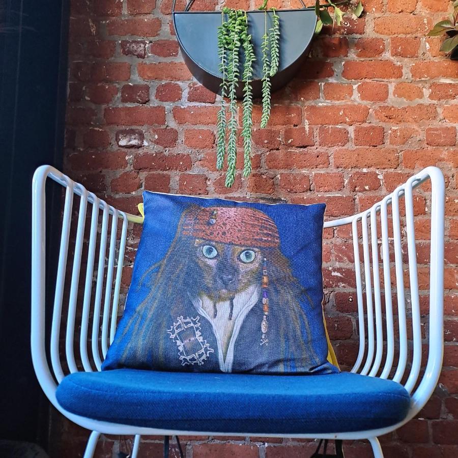 Pet-Friendly City Loft Apartment Kapstaden Exteriör bild